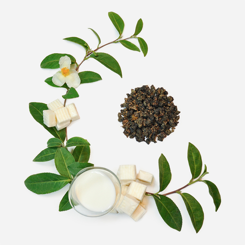 阿里山高山金萱茶