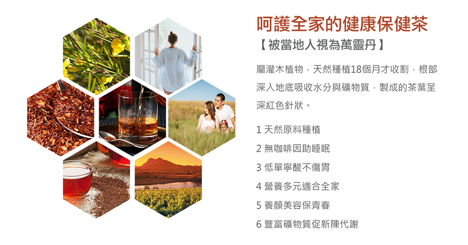 Rooibos%e8%8c%b6 02